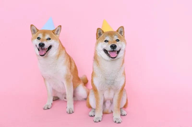ճмǿЧ⸴